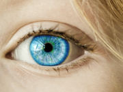 HashFlare (ハッシュフレア)検証中 ハッシュフレア検証