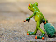 関ジャニ渋谷すばる脱退 渋谷すばる脱退