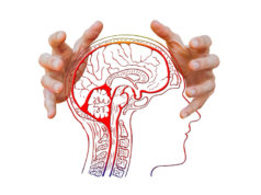 西城秀樹さん死去〜脳梗塞を予防するには