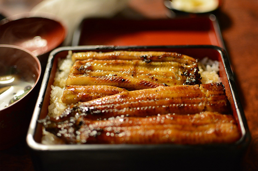 豊川市うなぎ料理店「正楽」に行ってみた